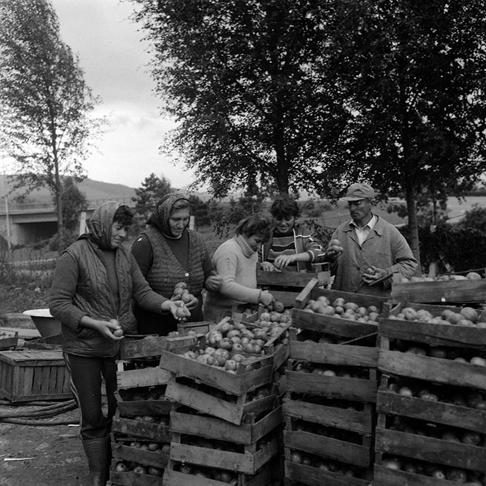 minerva_Agrar_c1_c7r5_002