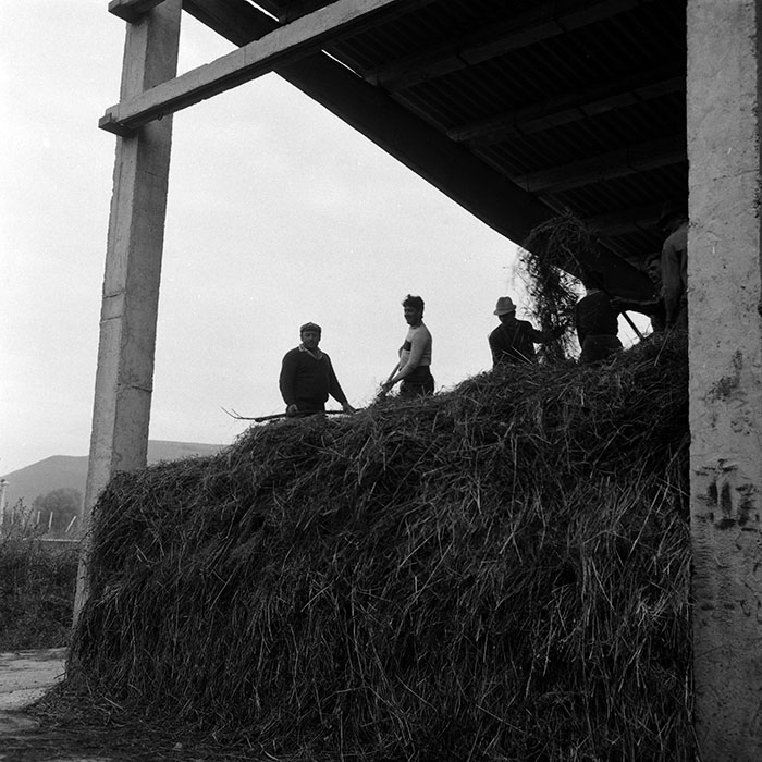 minerva_Agrar_c1_c7r5_003