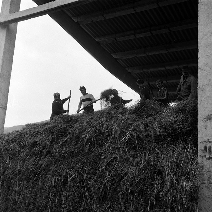 minerva_Agrar_c1_c7r5_004