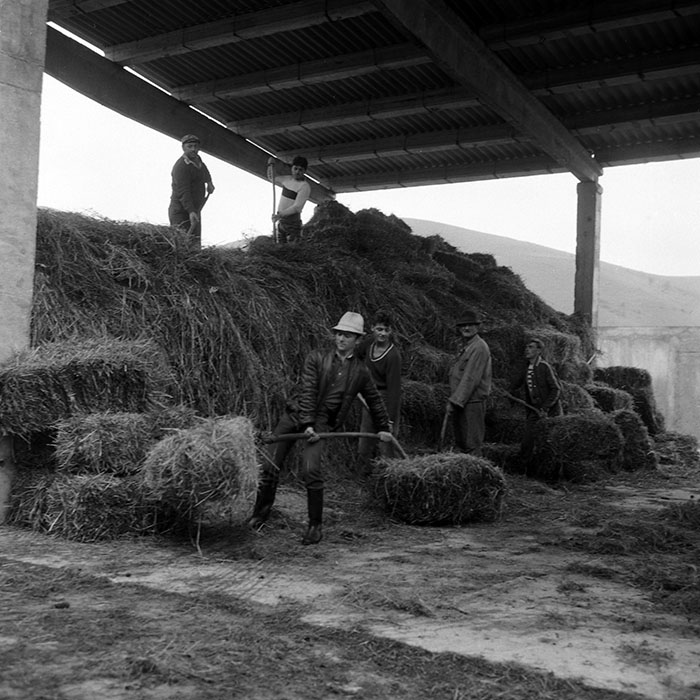 minerva_Agrar_c1_c7r5_005