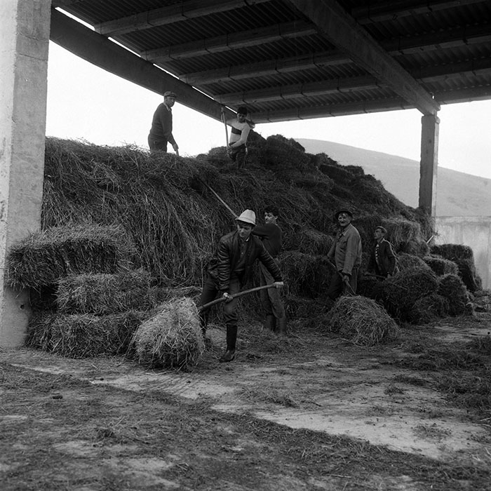 minerva_Agrar_c1_c7r5_006