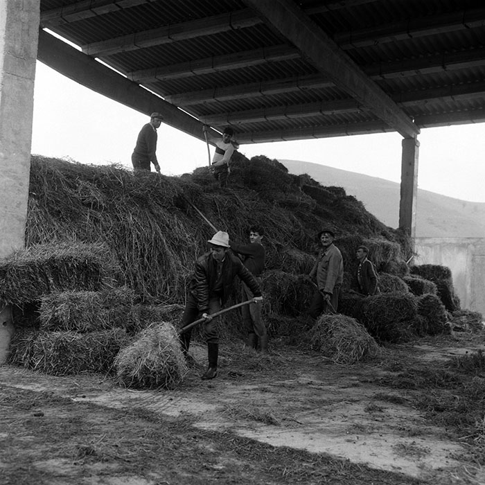 minerva_Agrar_c1_c7r5_007