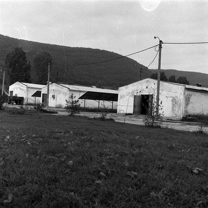 minerva_Agrar_c1_c7r5_008