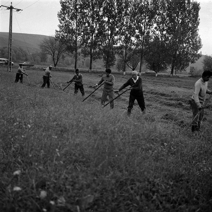 minerva_Agrar_c1_c7r5_010