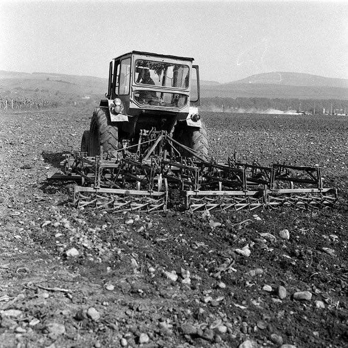 minerva_Agrar_c1_c7r5_012