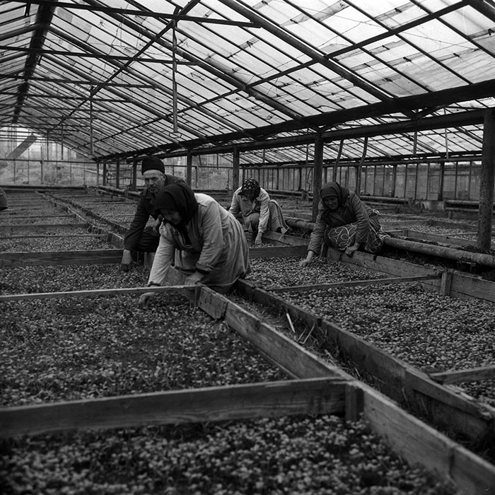 minerva_Agrar_c1_c8r1_001