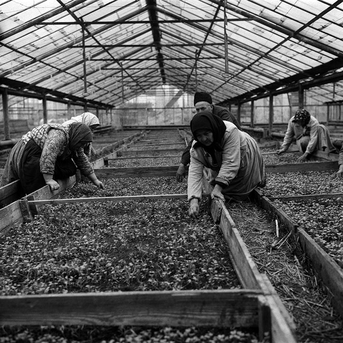 minerva_Agrar_c1_c8r1_002