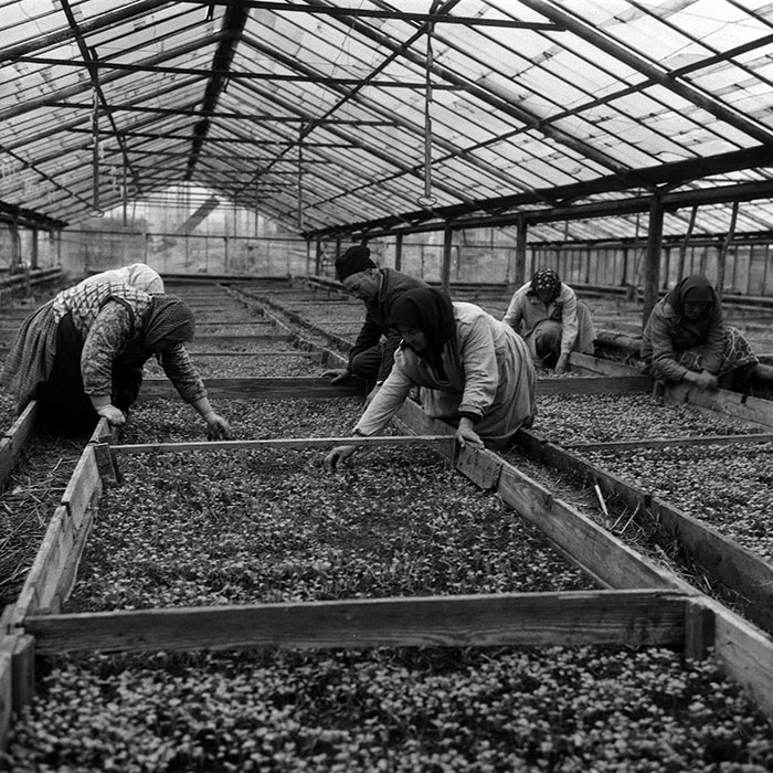 minerva_Agrar_c1_c8r1_003