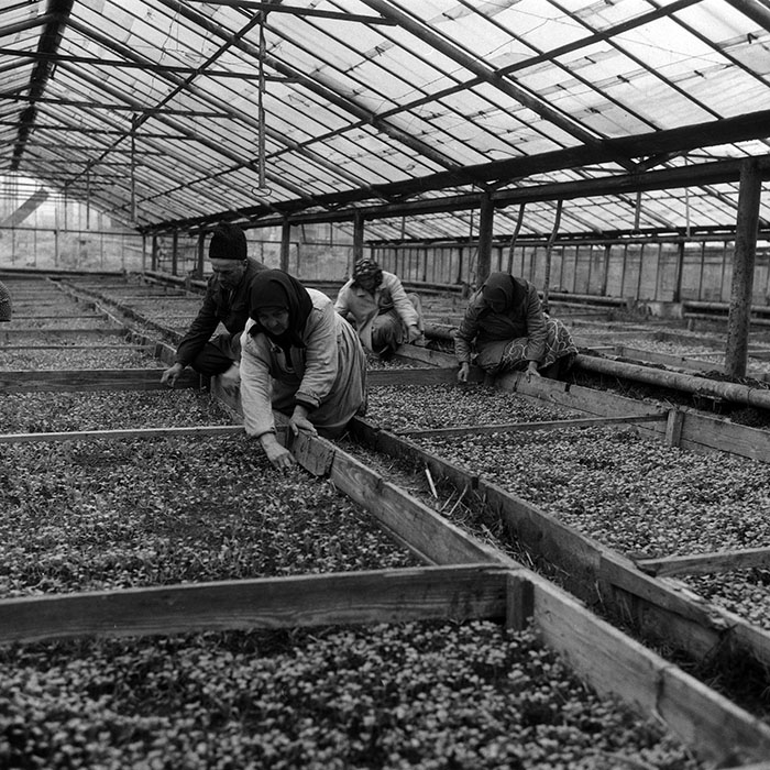 minerva_Agrar_c1_c8r1_004