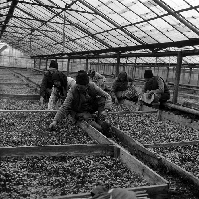 minerva_Agrar_c1_c8r1_005