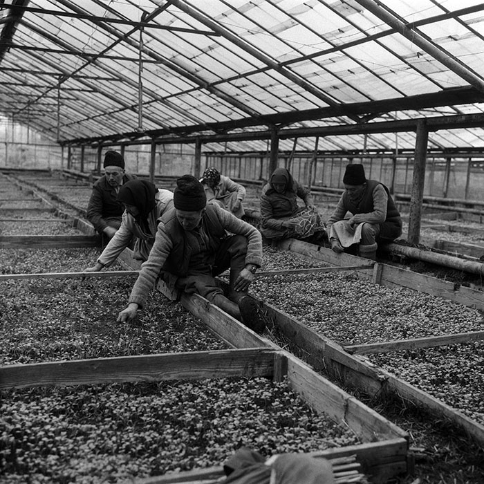 minerva_Agrar_c1_c8r1_006