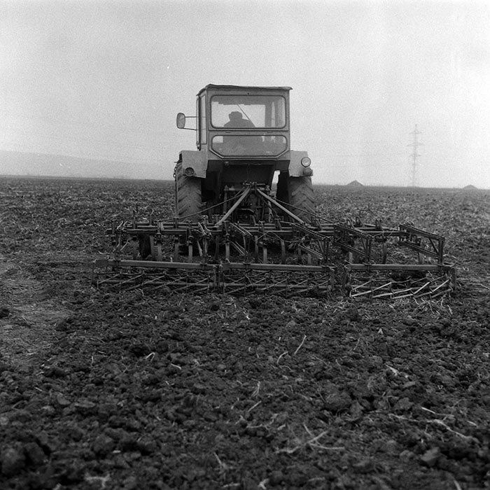 minerva_Agrar_c1_c8r1_007