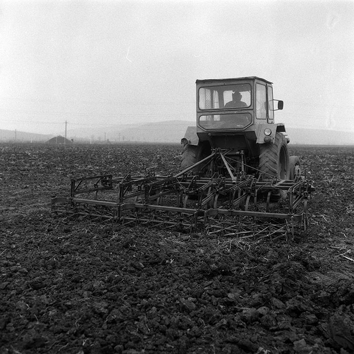 minerva_Agrar_c1_c8r1_008