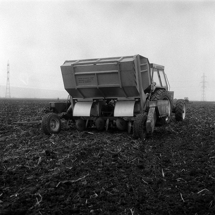 minerva_Agrar_c1_c8r1_011