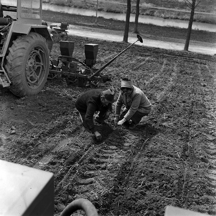 minerva_Agrar_c1_c8r2_002