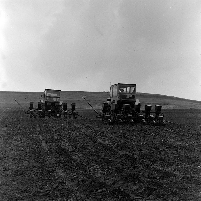 minerva_Agrar_c1_c8r2_005