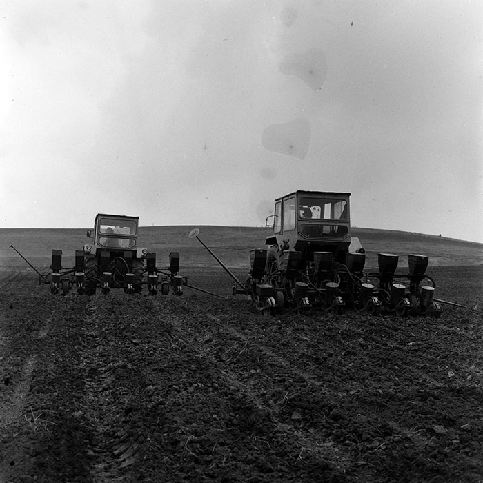 minerva_Agrar_c1_c8r2_006