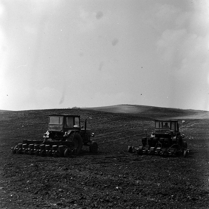 minerva_Agrar_c1_c8r2_009