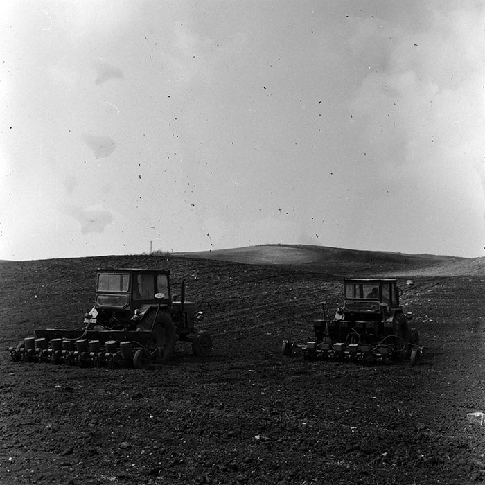 minerva_Agrar_c1_c8r2_010