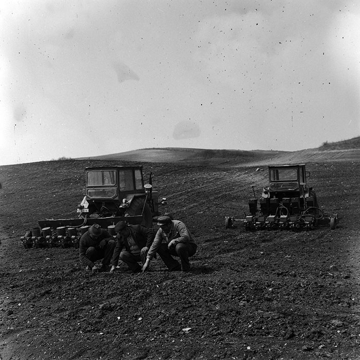 minerva_Agrar_c1_c8r2_011