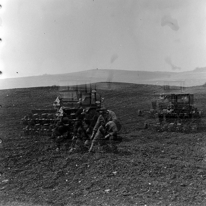 minerva_Agrar_c1_c8r2_012