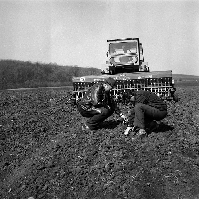 minerva_Agrar_c1_c8r2_013