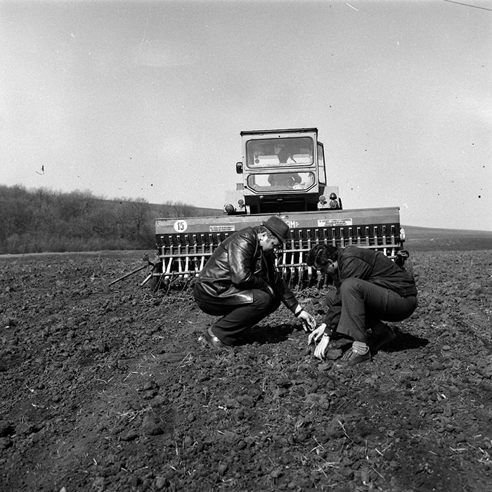 minerva_Agrar_c1_c8r2_014