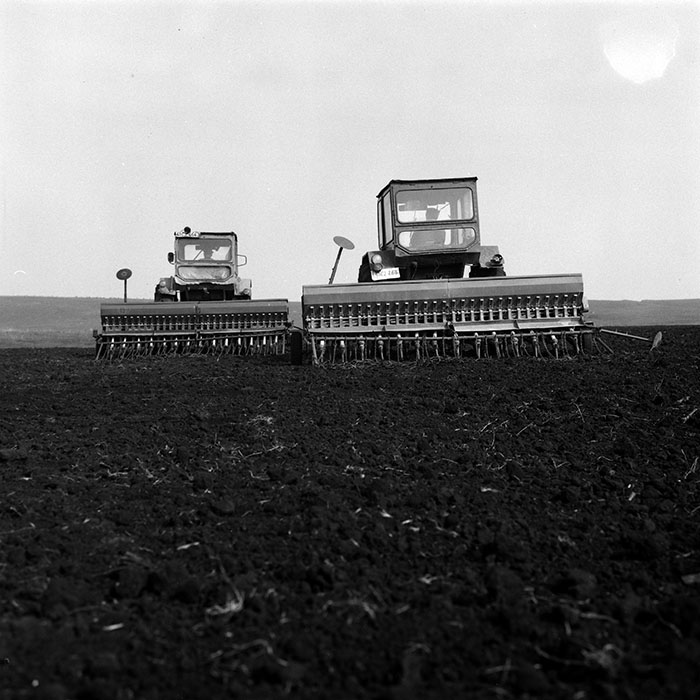 minerva_Agrar_c1_c8r2_022