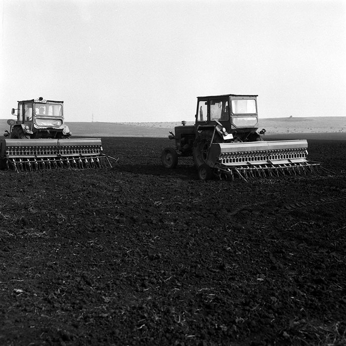 minerva_Agrar_c1_c8r2_023