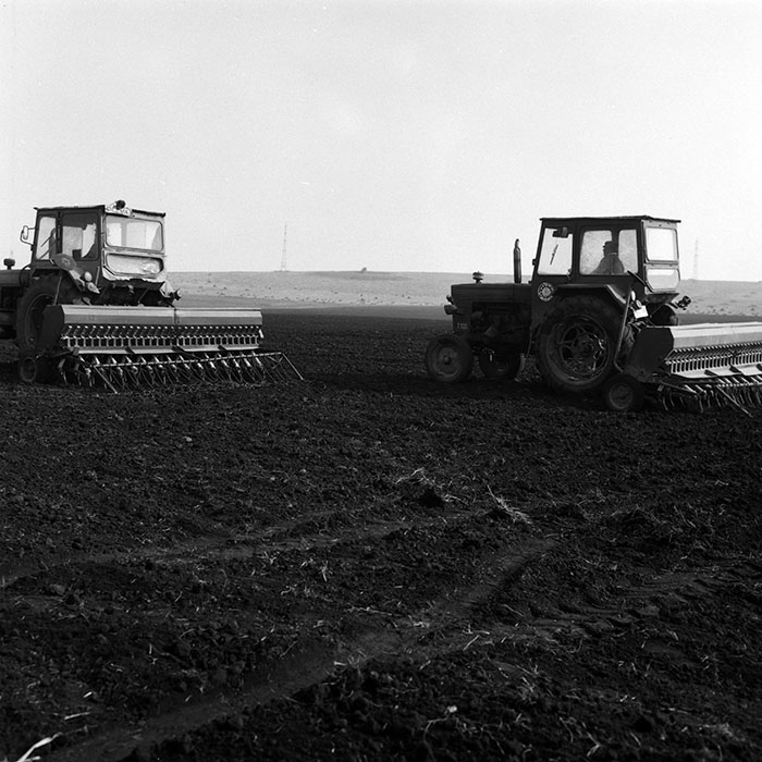 minerva_Agrar_c1_c8r2_024