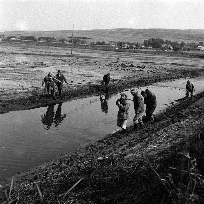 minerva_Agrar_c1_c8r2_028