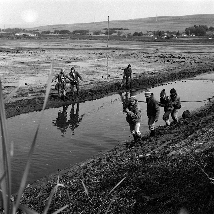 minerva_Agrar_c1_c8r2_029