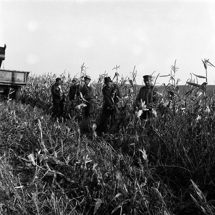 minerva_Agrar_c1_c8r2_030