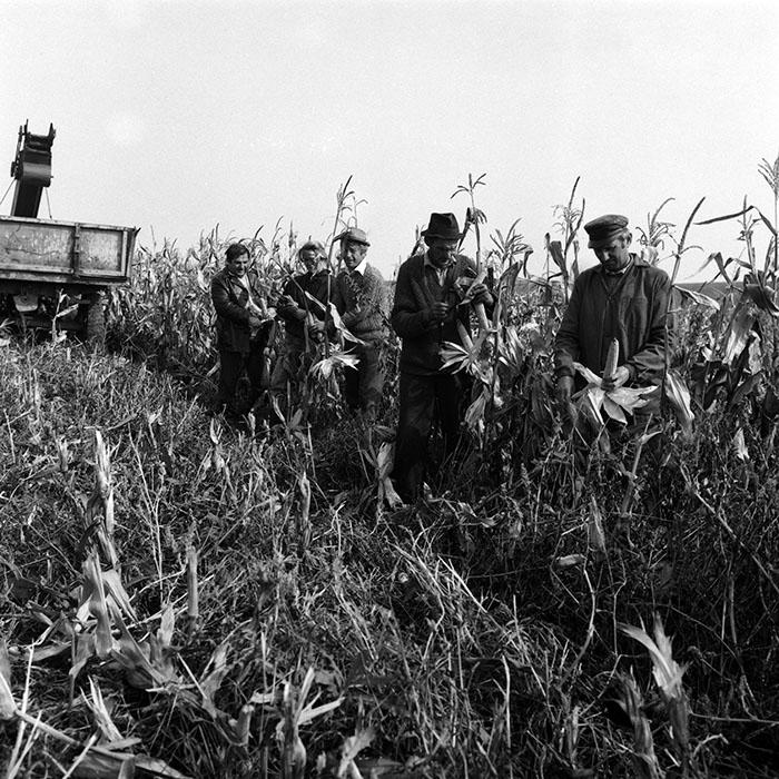 minerva_Agrar_c1_c8r2_031