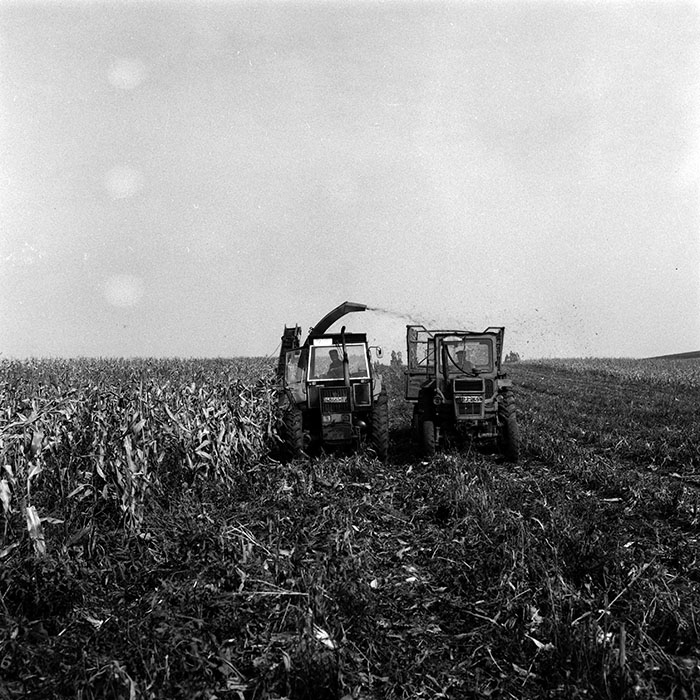 minerva_Agrar_c1_c8r2_032