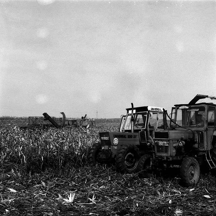 minerva_Agrar_c1_c8r2_033