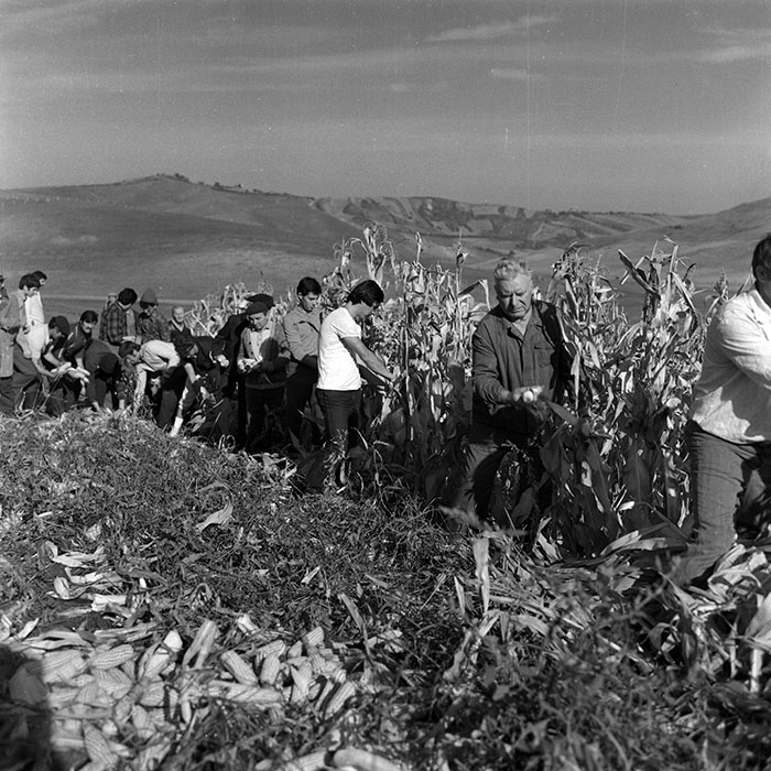 minerva_Agrar_c1_c8r3_001