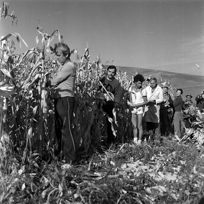 minerva_Agrar_c1_c8r3_002