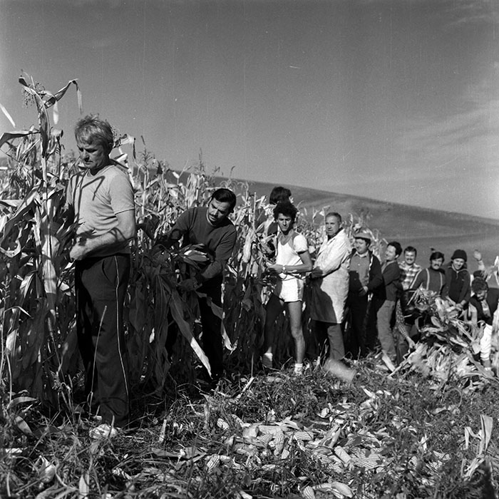 minerva_Agrar_c1_c8r3_003