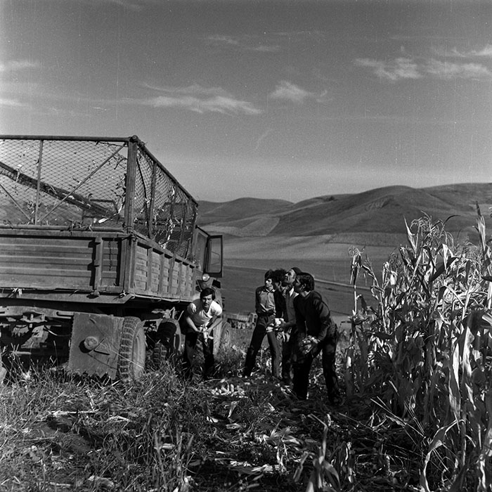 minerva_Agrar_c1_c8r3_006