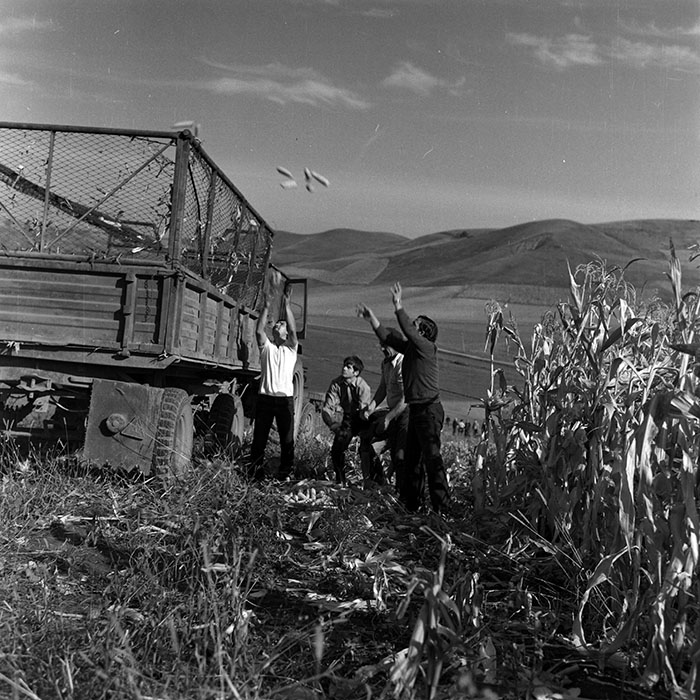 minerva_Agrar_c1_c8r3_007