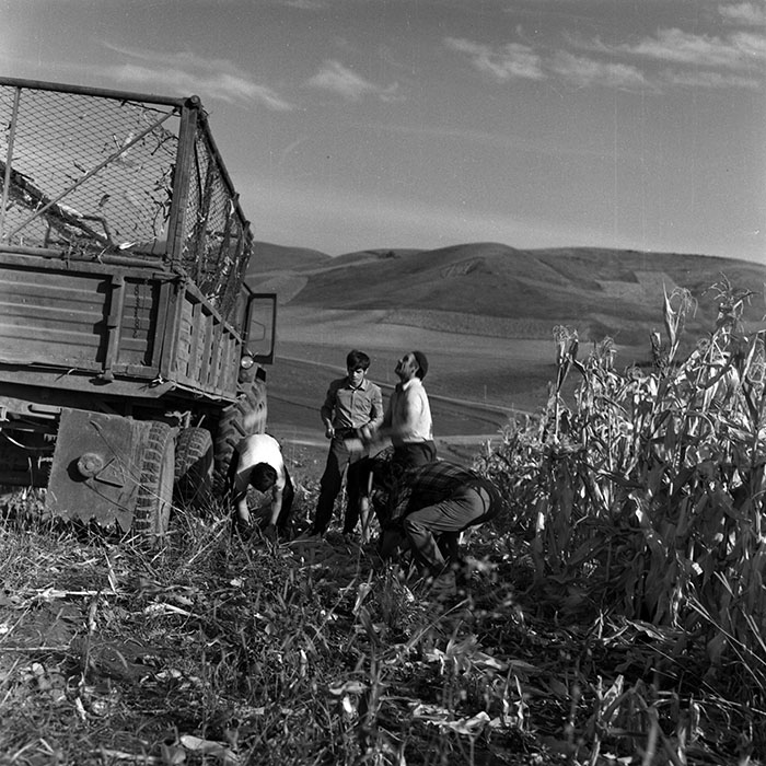 minerva_Agrar_c1_c8r3_008