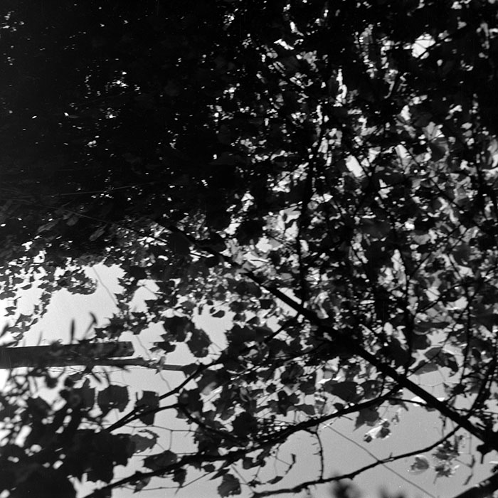 minerva_Agrar_c1_c8r3_010