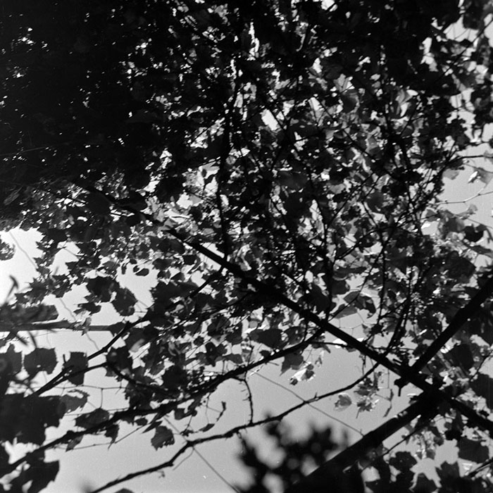 minerva_Agrar_c1_c8r3_011