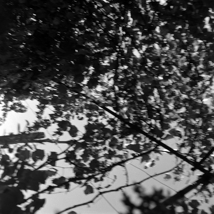 minerva_Agrar_c1_c8r3_012