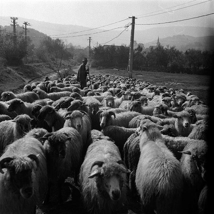 minerva_Agrar_c1_c8r4_001