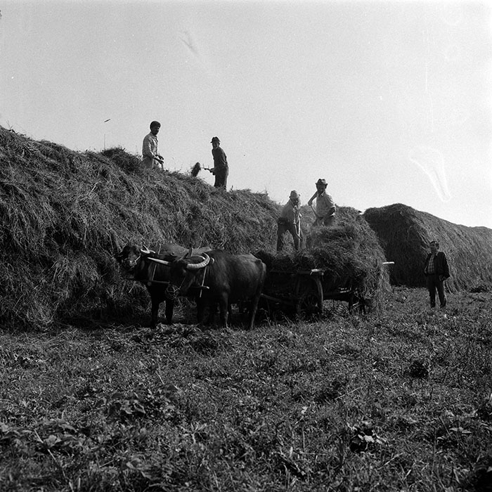 minerva_Agrar_c1_c8r4_003