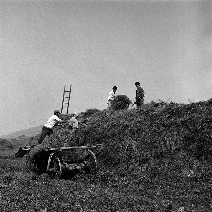 minerva_Agrar_c1_c8r4_004