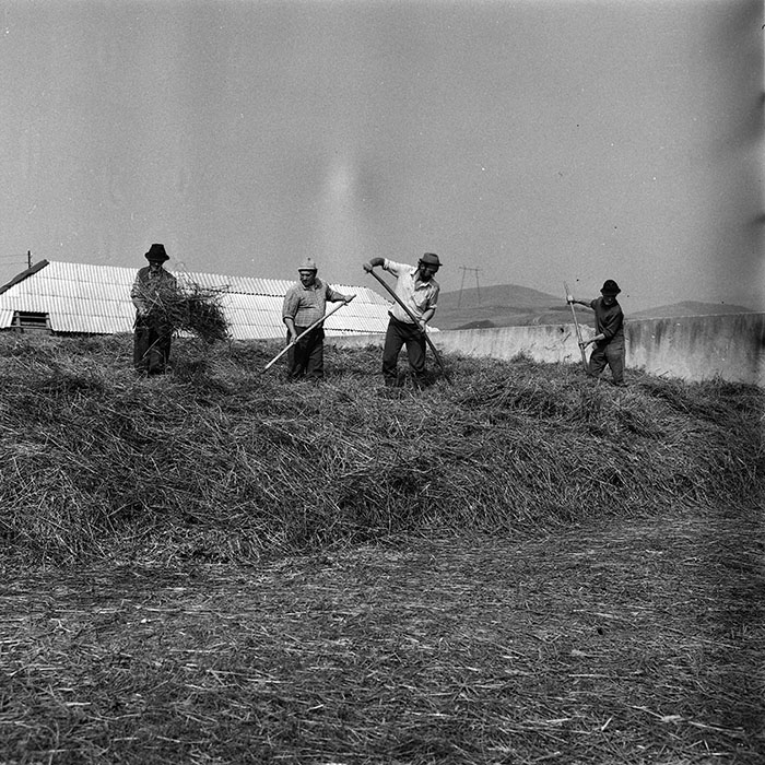 minerva_Agrar_c1_c8r4_005