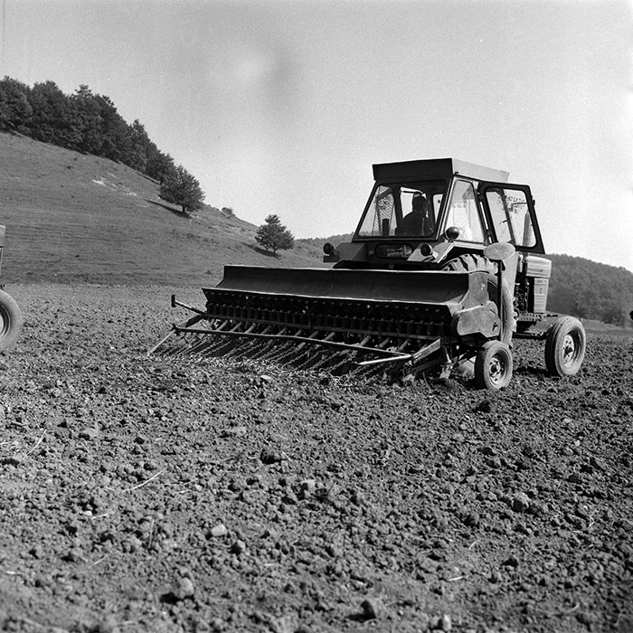 minerva_Agrar_c1_c8r4_006